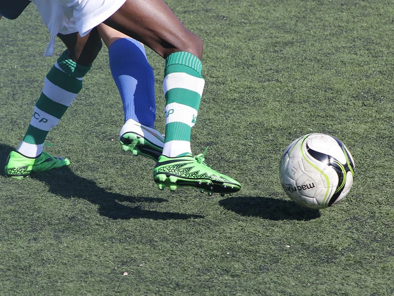 Artificial Turf Installation Cost