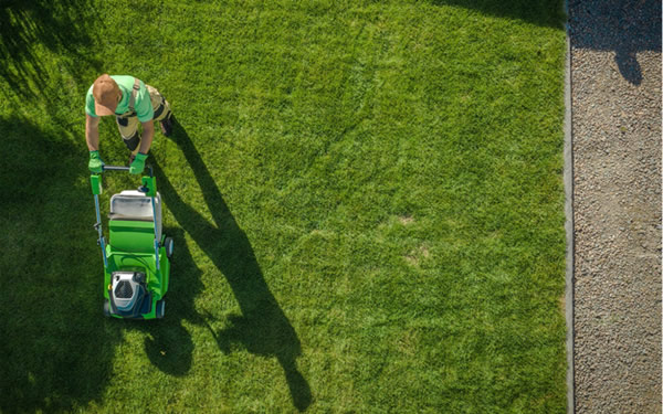 Artificial Grass VS Natural Grass: Benefits and Cost