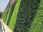 Artificial Green Wall