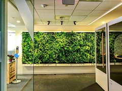 Artificial Green Wall