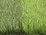 Sports Artificial Grass | Quality