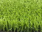 Sports Artificial Grass | Multi Sport