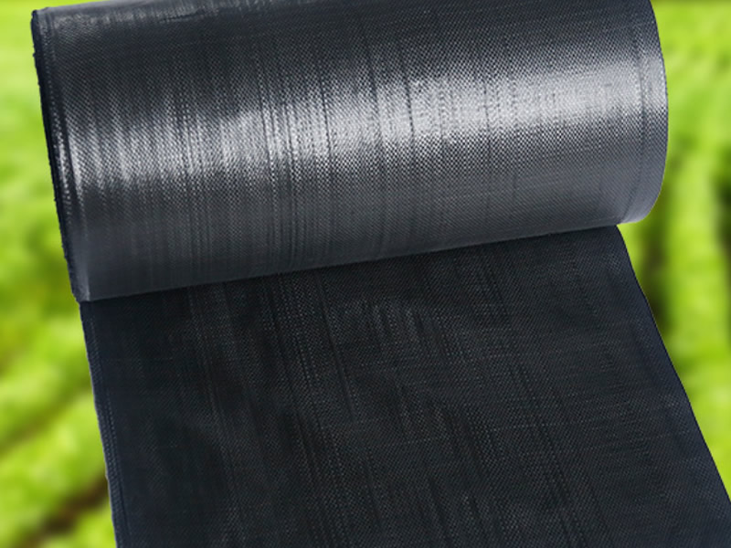 Weed Control Fabric for Grass Installation GZUNIGRASS