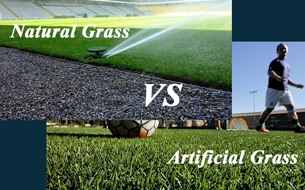 Why do more people choose artificial grass soccer fields?