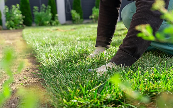 Can I lay artificial turf directly on soil?