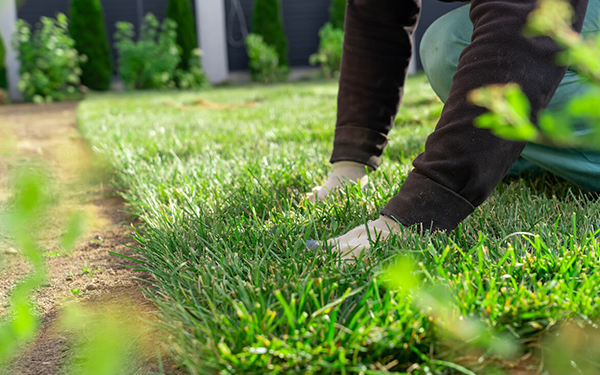 Can I Lay Artificial Turf Directly On Soil?