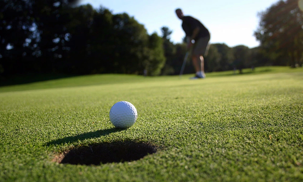 What type of golf artificial grass putting green?