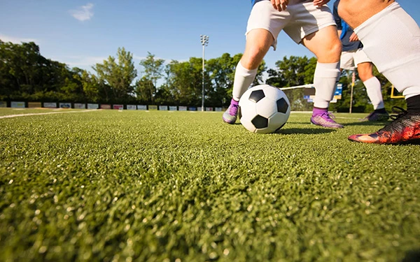 What kind of artificial grass is used on sports fields?