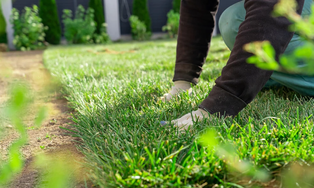 Can I lay artificial turf directly on soil?