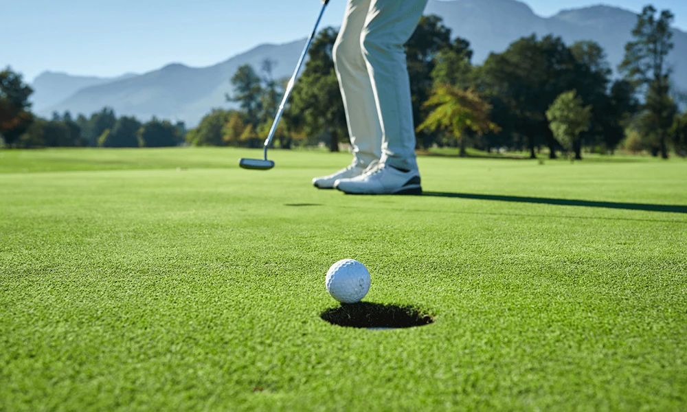 What type of golf artificial grass putting green?