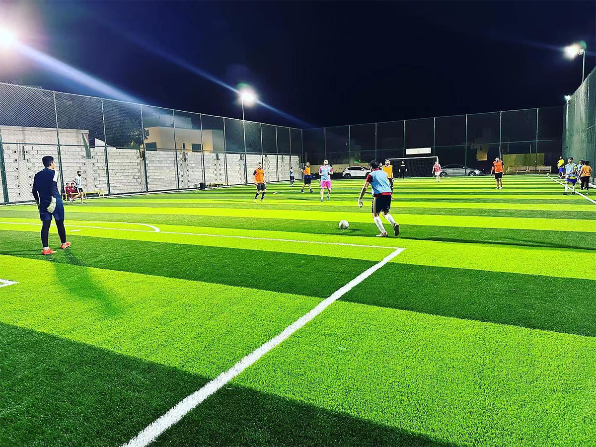 Sports Artificial Grass Range