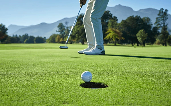 What type of golf artificial grass putting green?