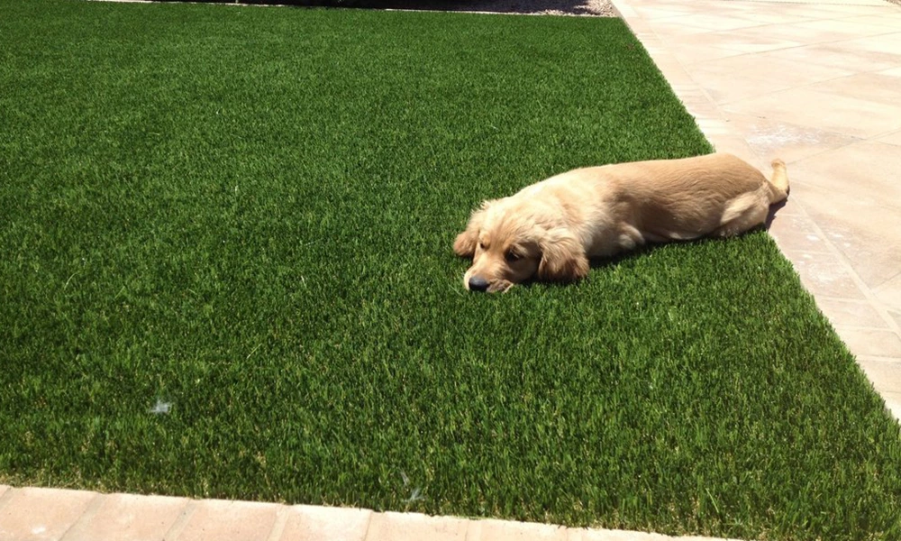 Is artificial turf good for pets?