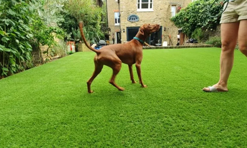 Is artificial turf good for pets?