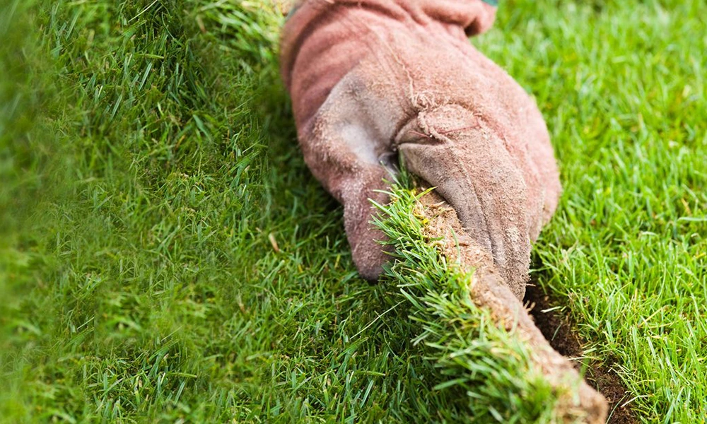 Is real lawn cheaper than artificial grass?