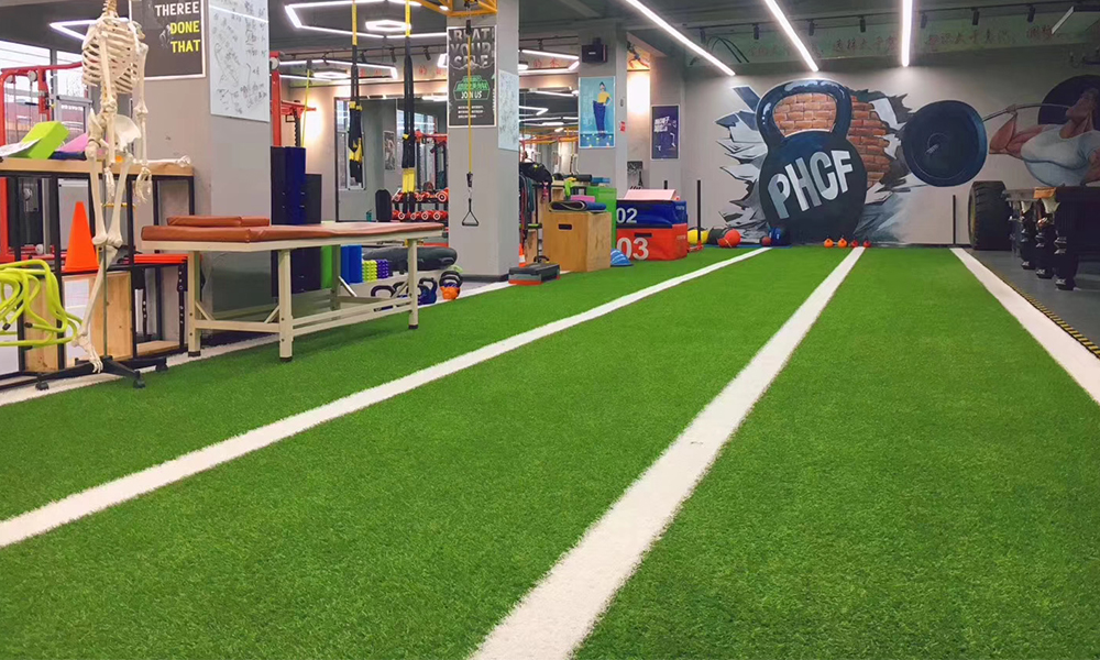 gym artificial turf