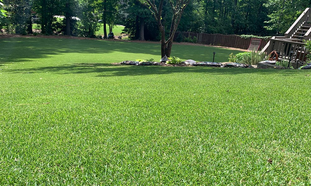 Artificial grass color differences