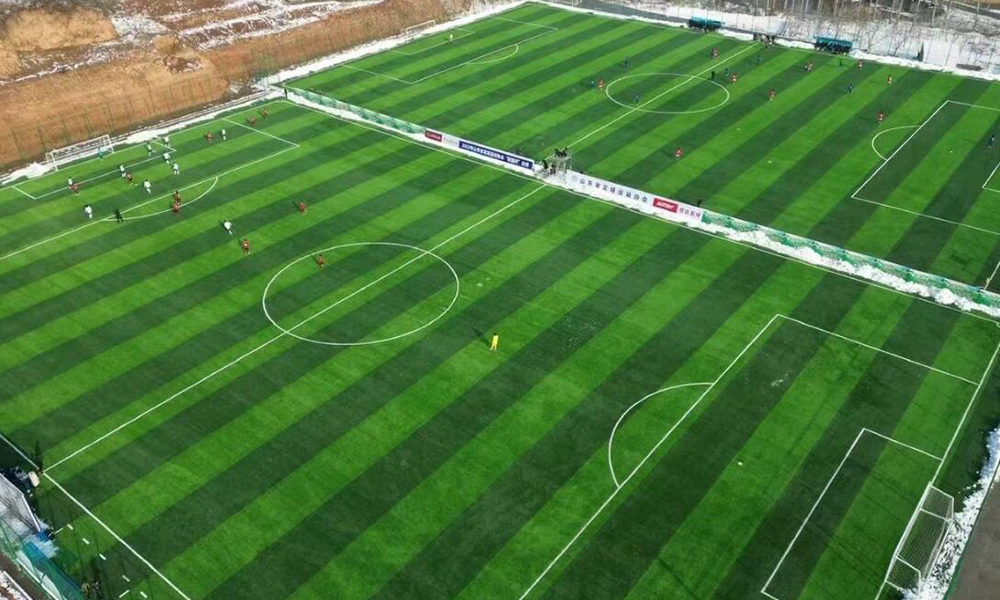 Soft, lead-free artificial grass safe for dogs and children playing in backyard