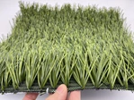 Sports Artificial Grass | PRO MAX
