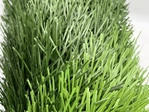 Sports Artificial Grass | Quality
