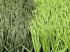 Sports Artificial Grass | Competition