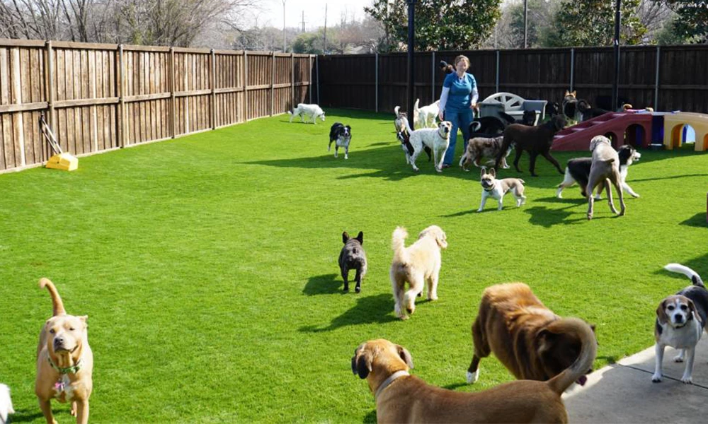 What do you put under artificial grass for dogs?