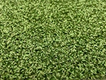 Golf Putting Artificial Grass | Ultra Spring