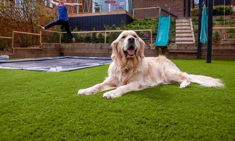 Artificial Turf​ Installation