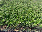 Artificial Grass Landscape | Stablize