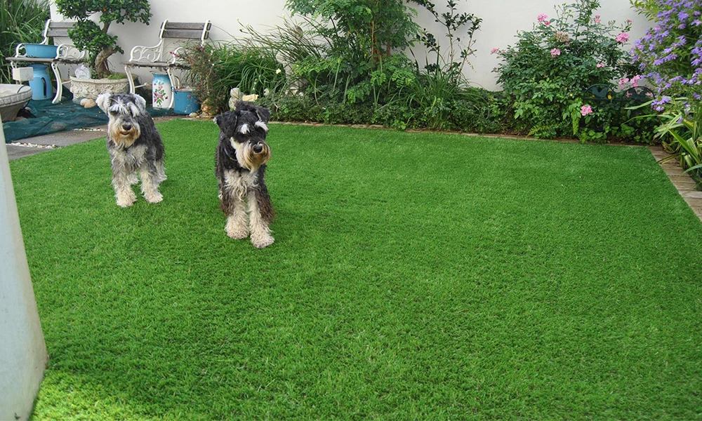 Artificial grass for dogs​: Advantages & Installation