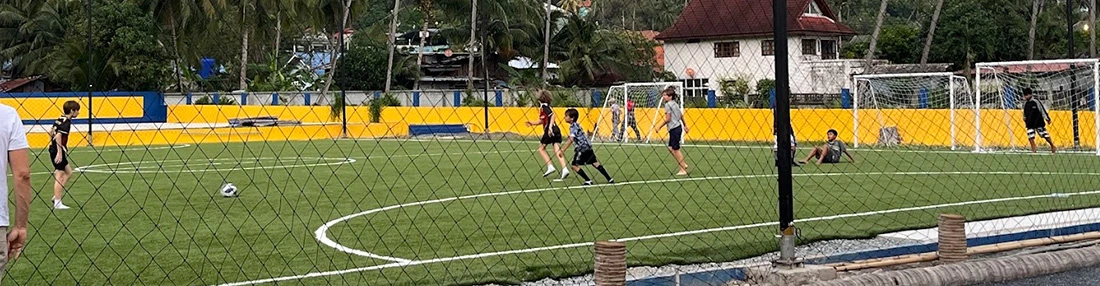 Sports Artificial Grass Range