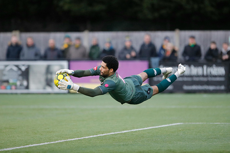 fake grass for sports field