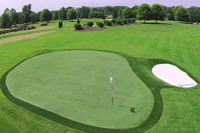 Golf Putting Artificial Grass Range