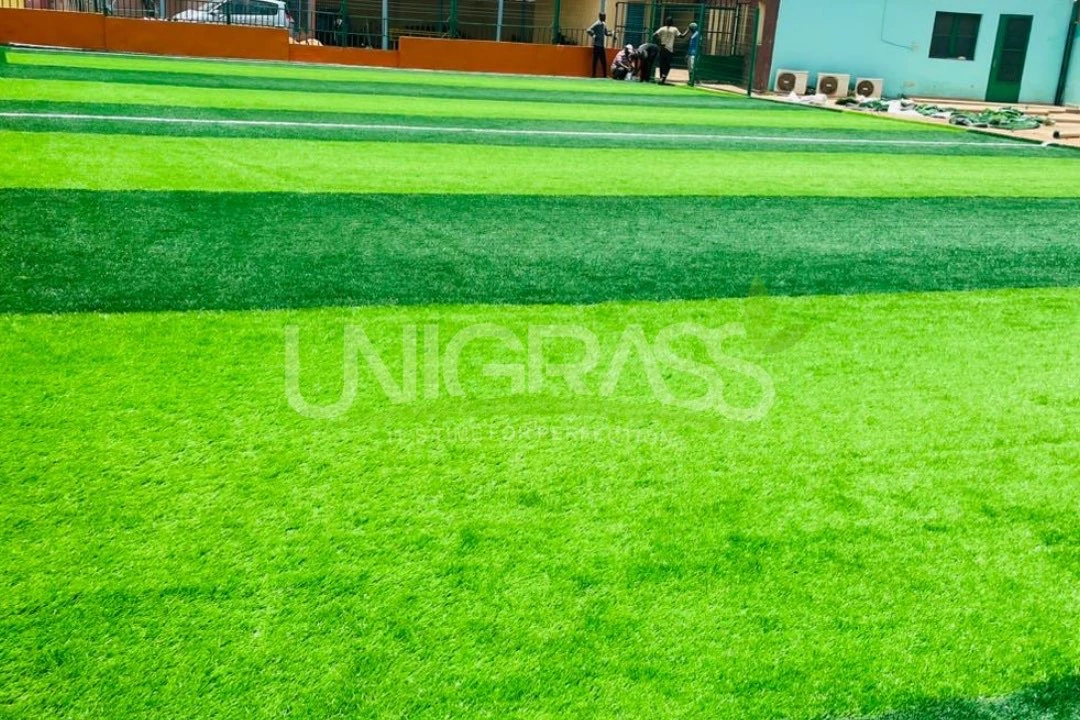 Mali Football Grass